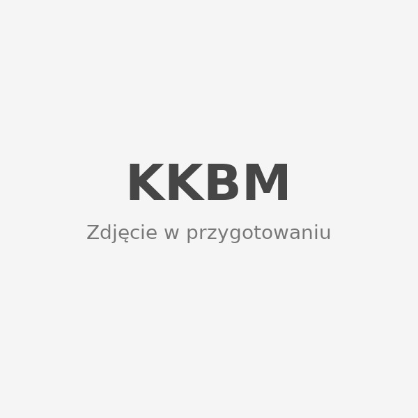 17323843802