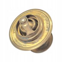 Termostat 87C