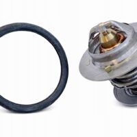 Termostat Ford C-Max Cougar Escort V VI Focus II 67-0060 wkład 67-0060